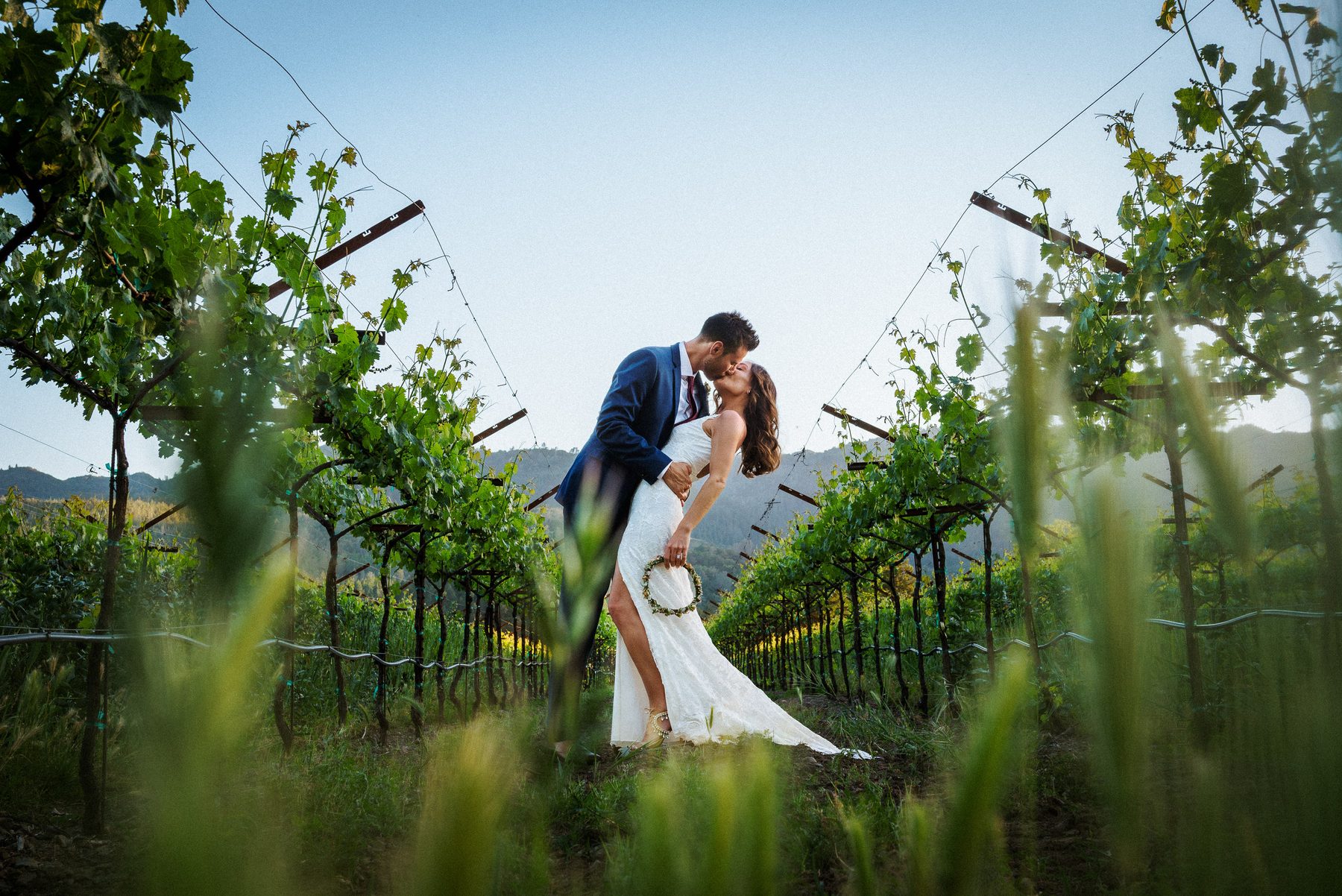 Bride and groom kissing between vineyard rows at Harvest Inn in Napa Valley